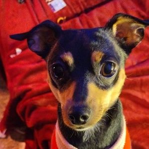 Meet your Posher, Summer